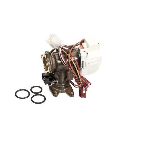 Rinnai Water Flow Servo Valve Kit 104000238